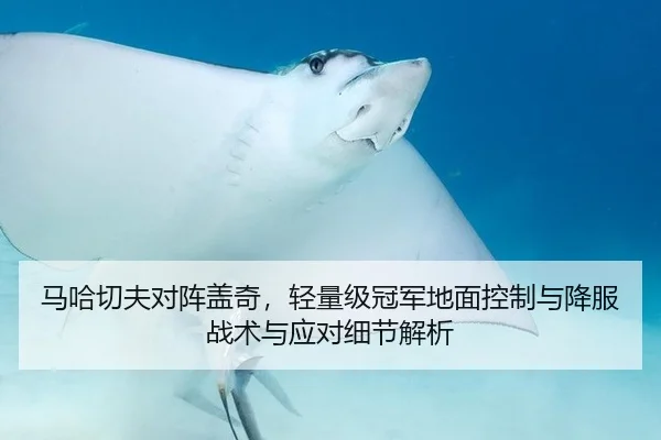 马哈切夫对阵盖奇，轻量级冠军地面控制与降服战术与应对细节解析