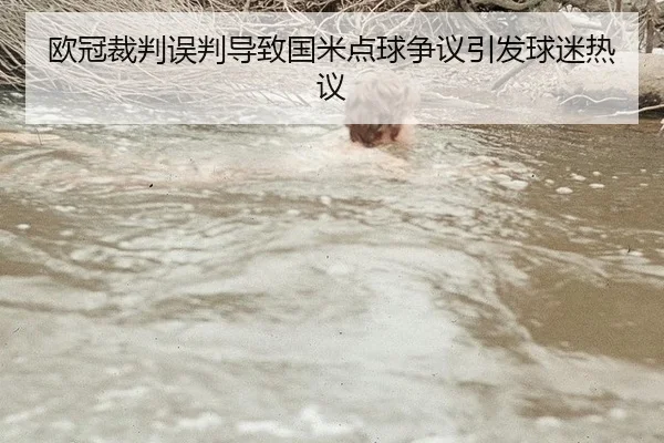 欧冠裁判误判导致国米点球争议引发球迷热议