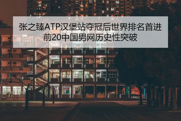 张之臻ATP汉堡站夺冠后世界排名首进前20中国男网历史性突破