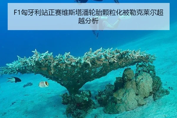 xiong-ya-li-zhan-zheng-sai-wei-si-ta-pan-lun-tai-ke-li-hua-bei-lei-ke-lai-er-chao-yue-fen-xi-3-227.jpg